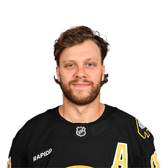 David Pastrnak
